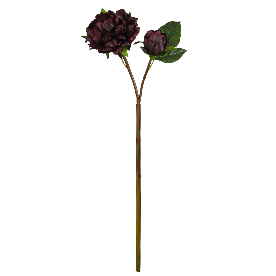 Faux Peony Bud Stem | Brown - 56cm