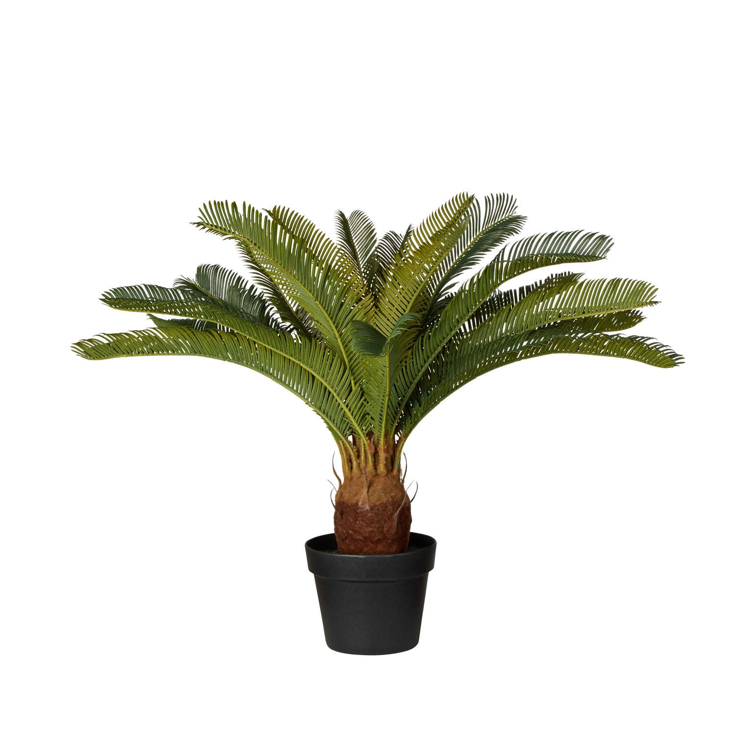 Faux Cycas Plant -  Garden Pot | Green -  72cm