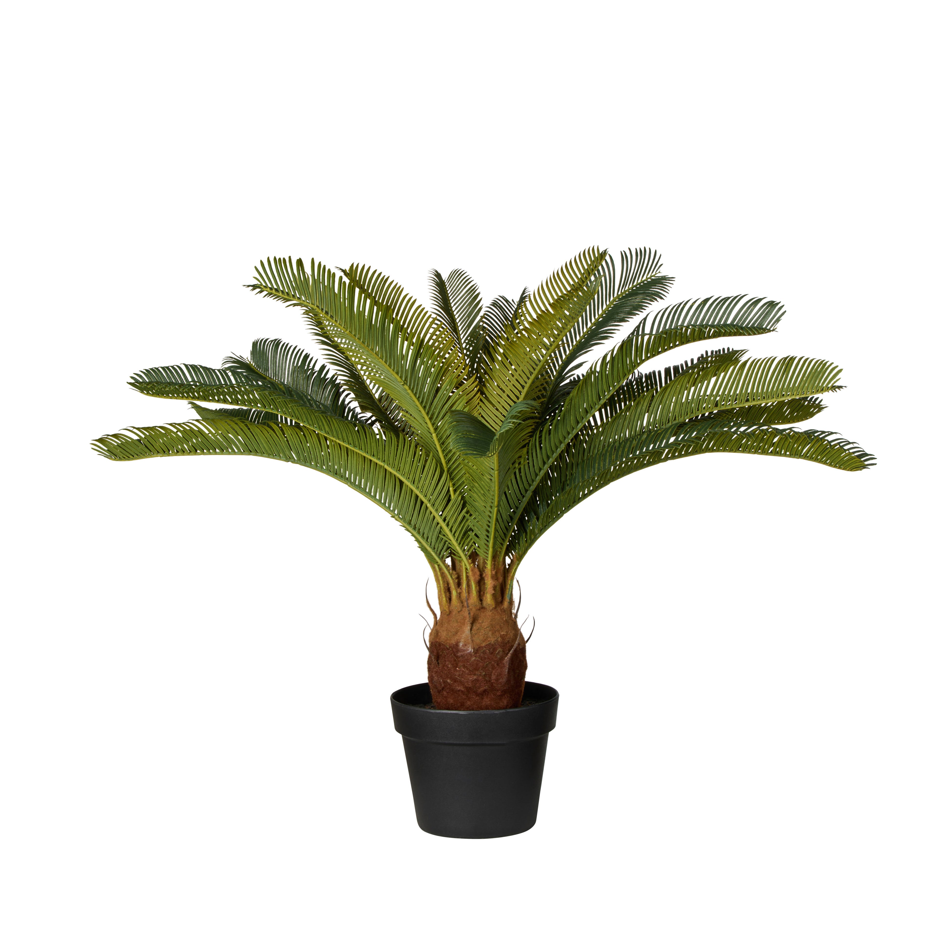 Faux Cycas Plant -  Garden Pot | Green -  72cm