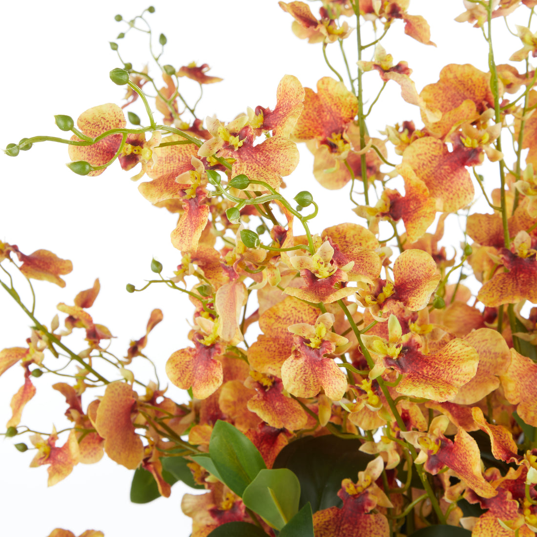 Faux Dancing Orchids - Madelyn Bowl | Orange - 67cm