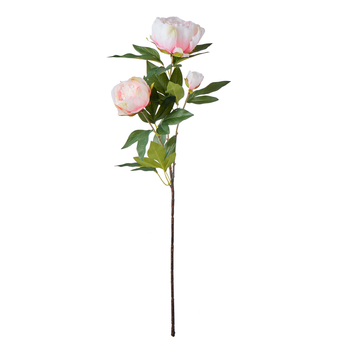 Faux Peony Stem | Pink - 71cm