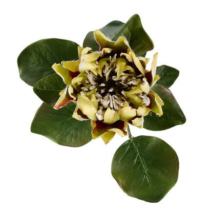 Faux King Protea Stem | Green - 60cm