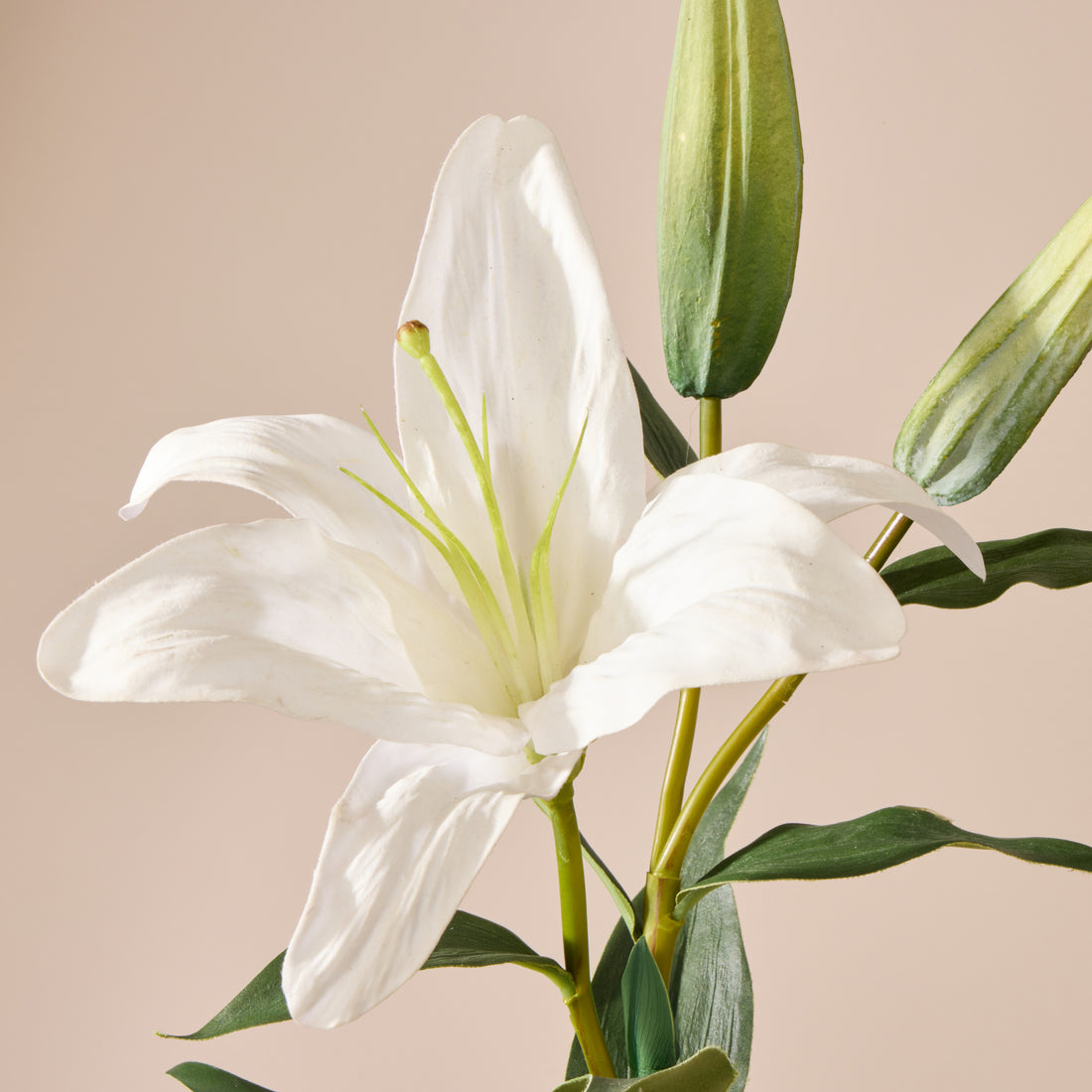 Faux Casablanca Lily | White - 80cm