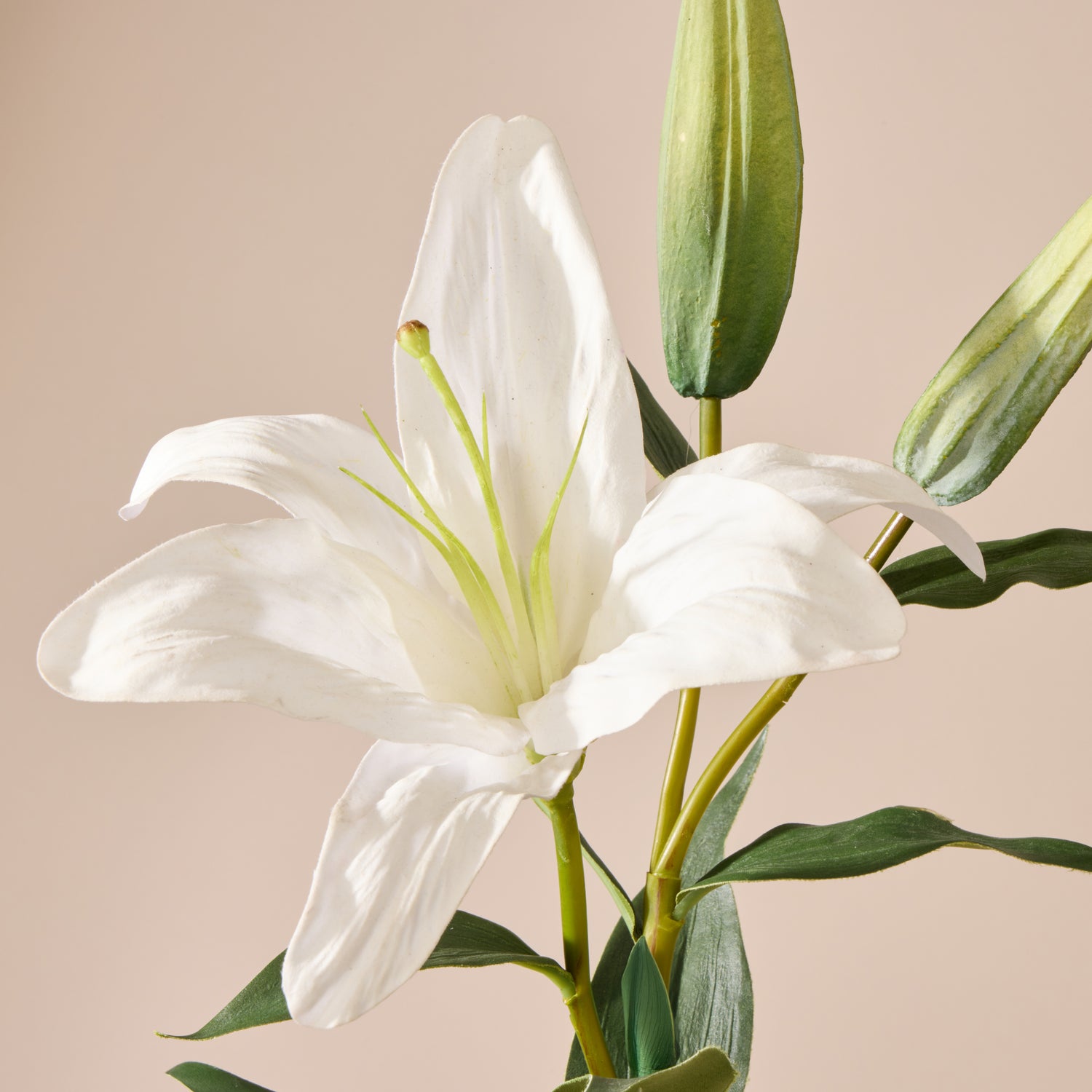 Faux Casablanca Lily | White - 80cm