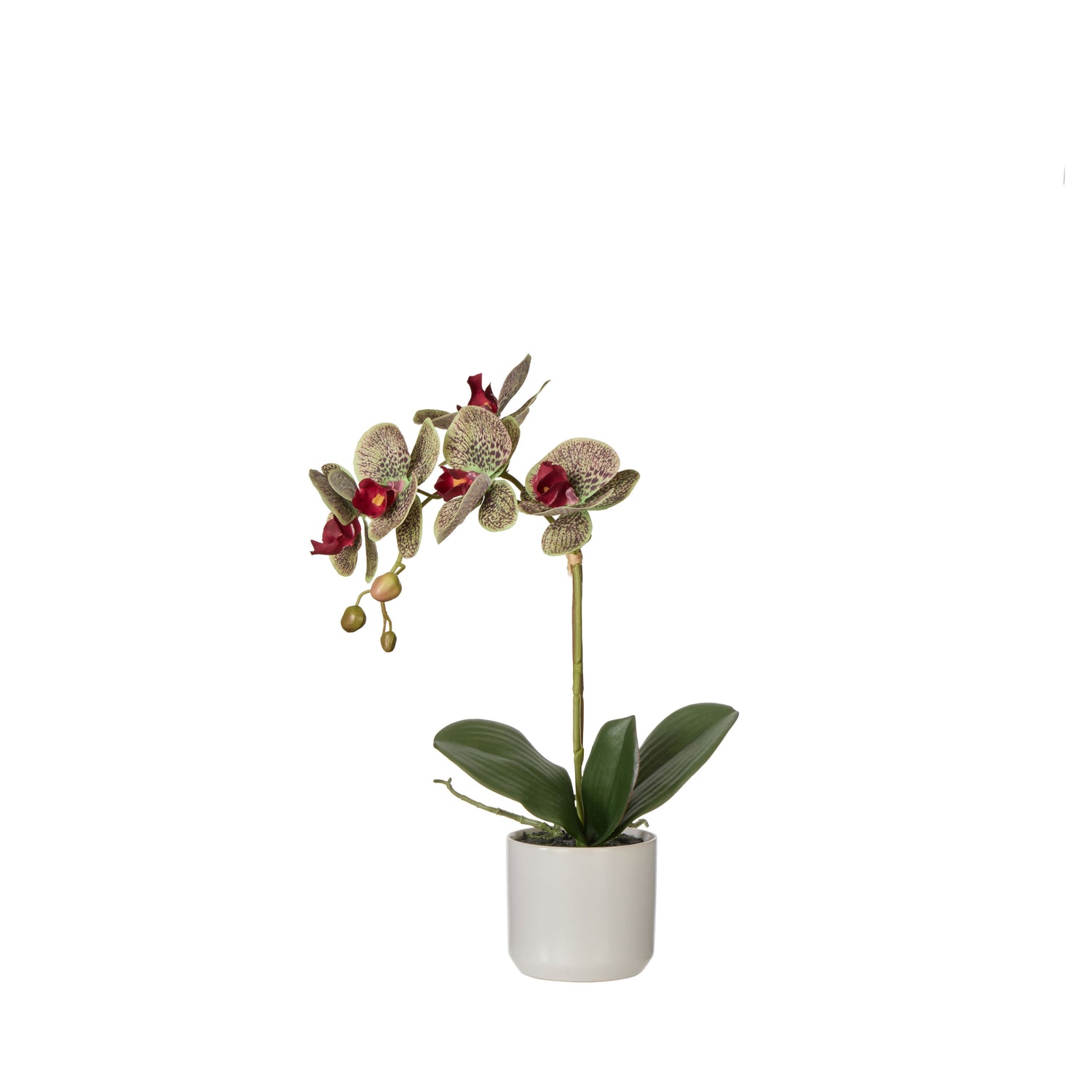Faux Phalaenopsis Orchid Pot | Red -  44cm