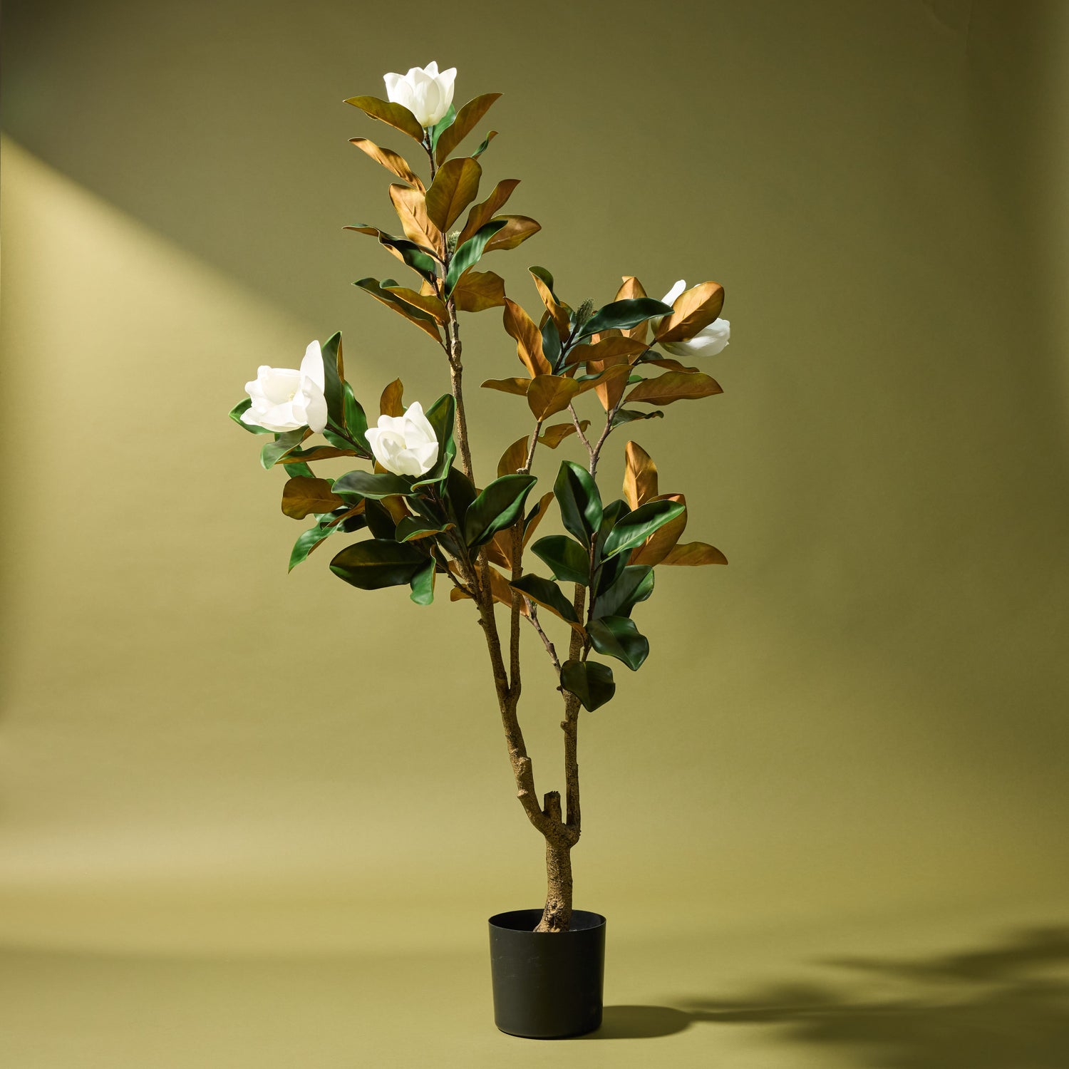 can i plant a magnolia tree in a pot Artificial Magnolia Tree | 158cm