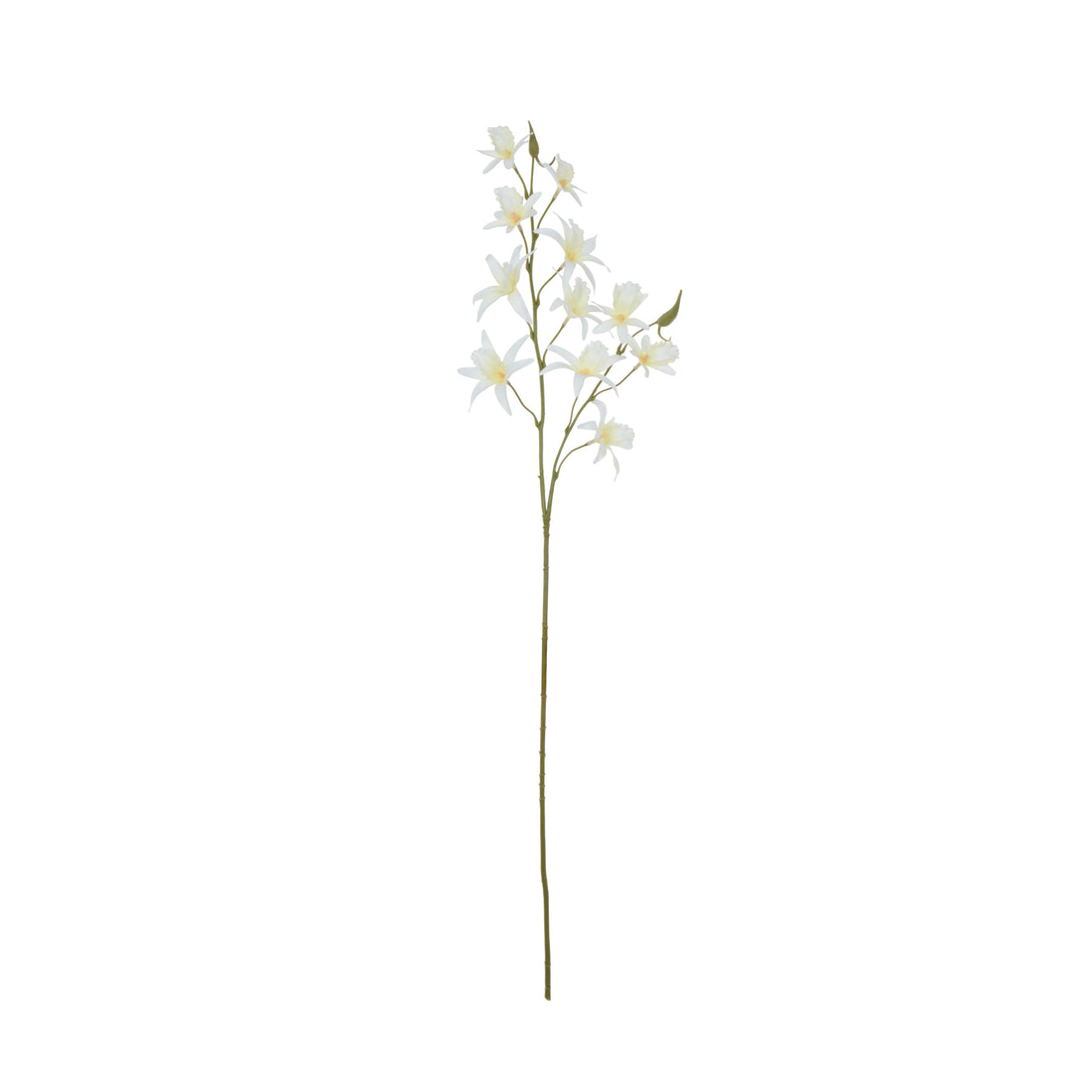Faux Dendrobium Spray | White - 92cm