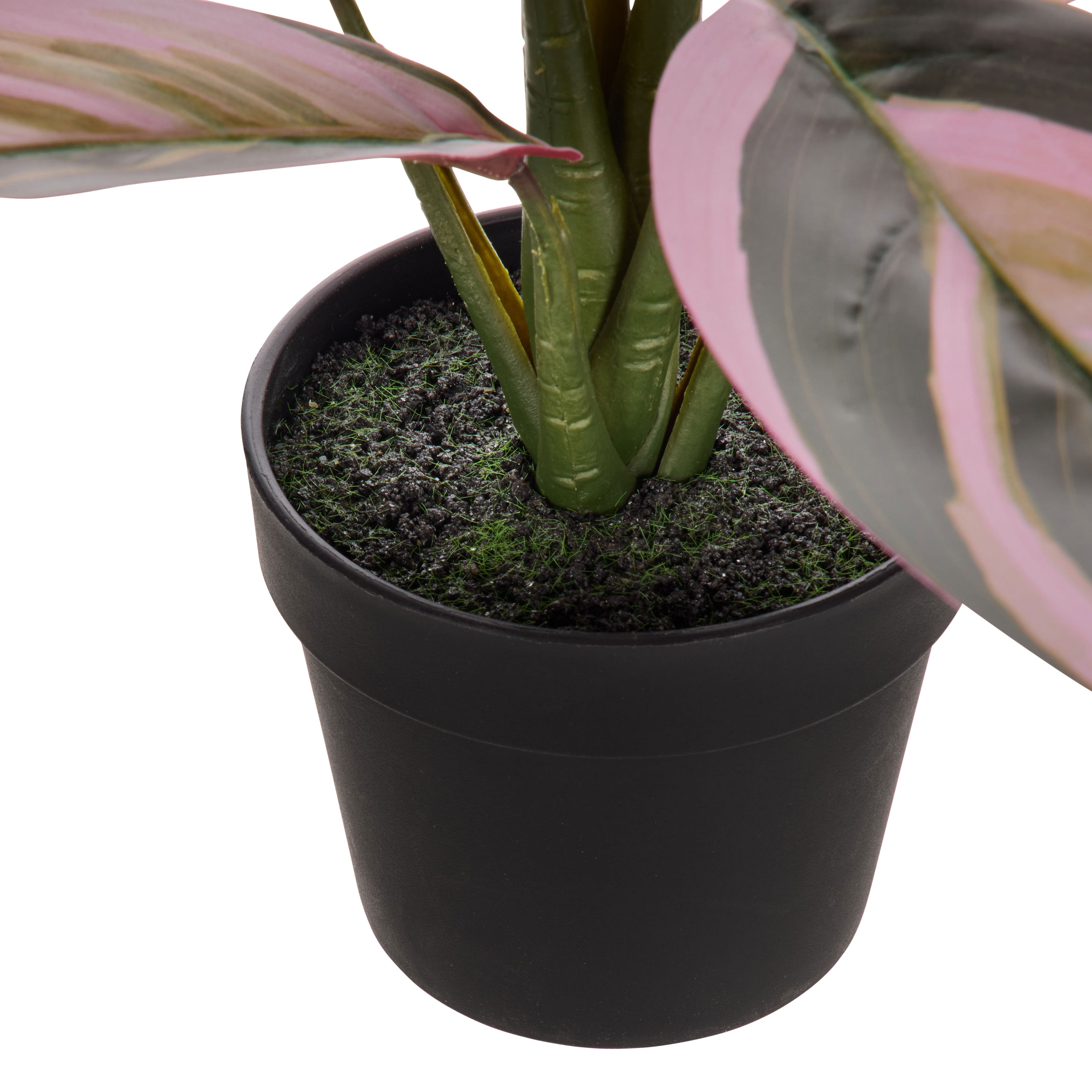 Faux Cordyline Plant | Burgundy  -  36cm