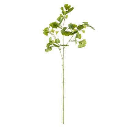 Rogue Ginkgo Spray Green