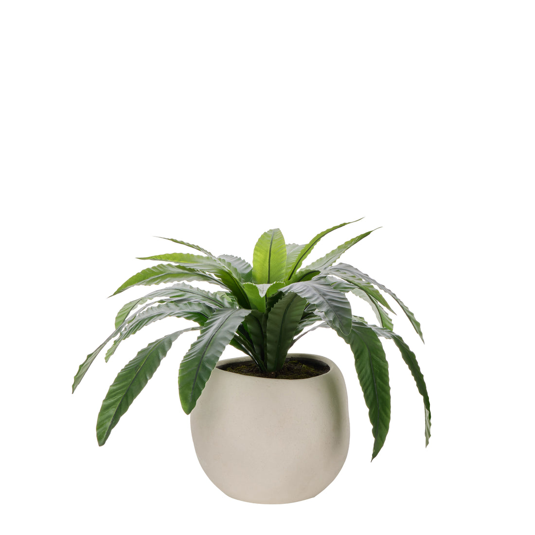 Faux Birds Nest Fern UV Treated - Lyon Planter | Green  - 55cm