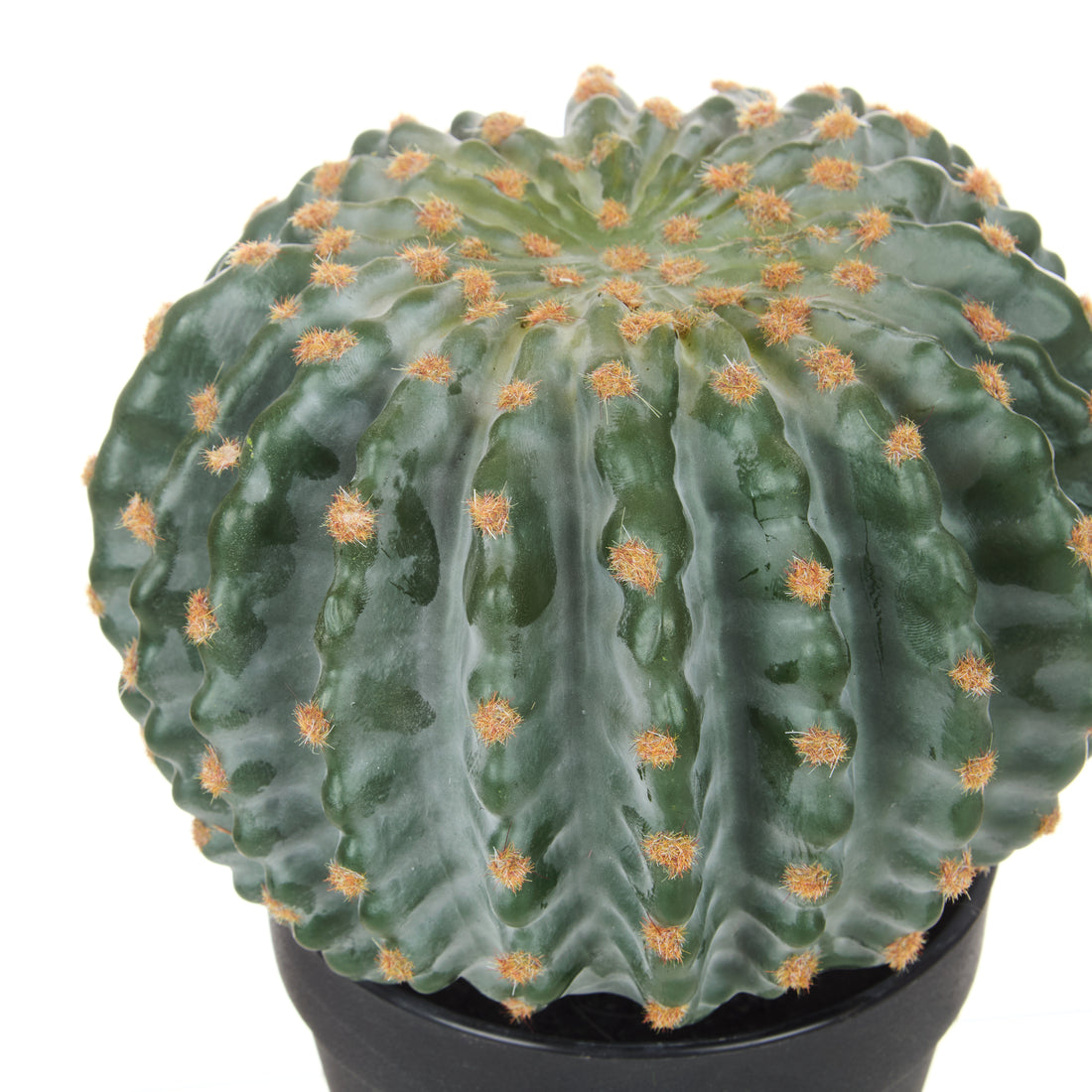 Faux Barrel Cactus | 22cm