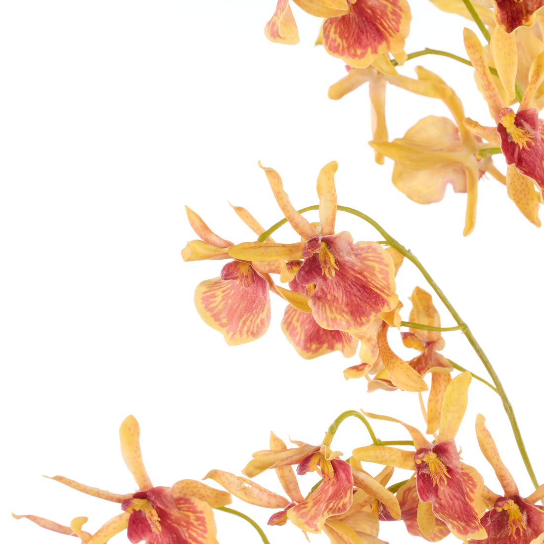 Faux Dendrobium Orchid | Orange - 104cm