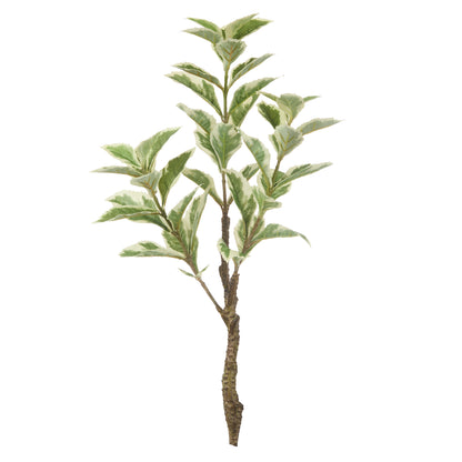 Faux Ficus Variegated Spray | 53cm