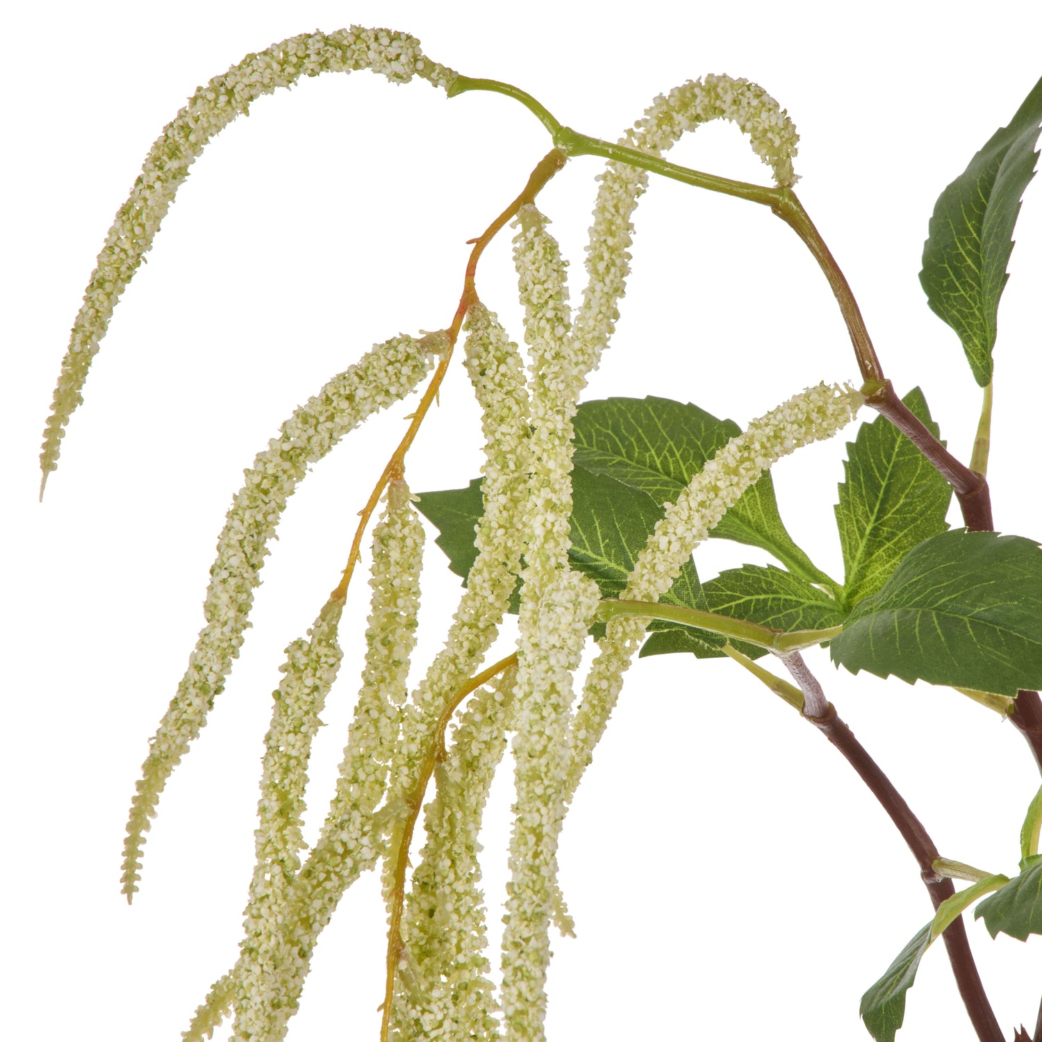 Faux Hanging Amaranthus Spray | Cream  - 90cm