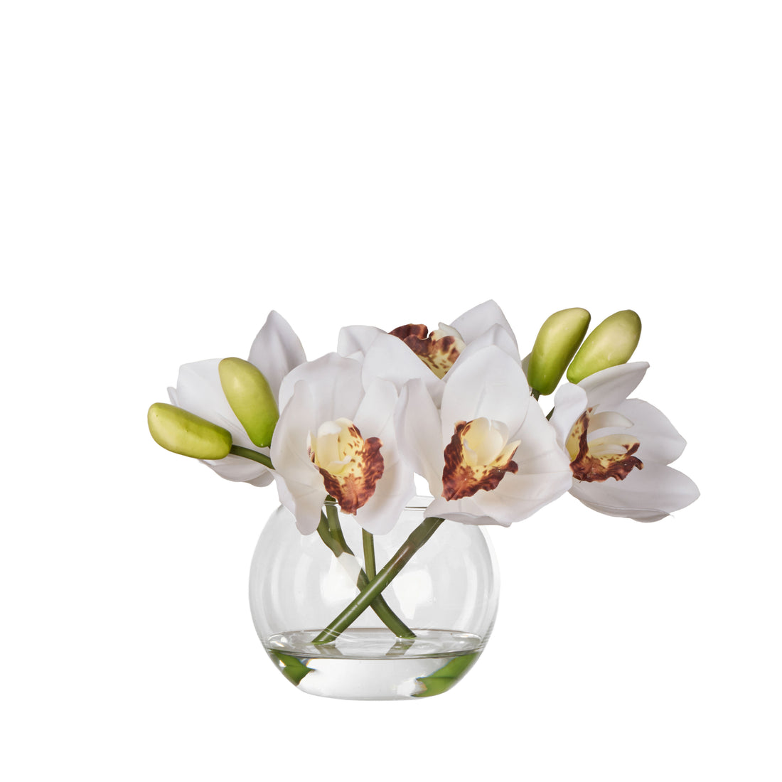 Rogue Cymbidium Orchid &amp; Glass Vase White