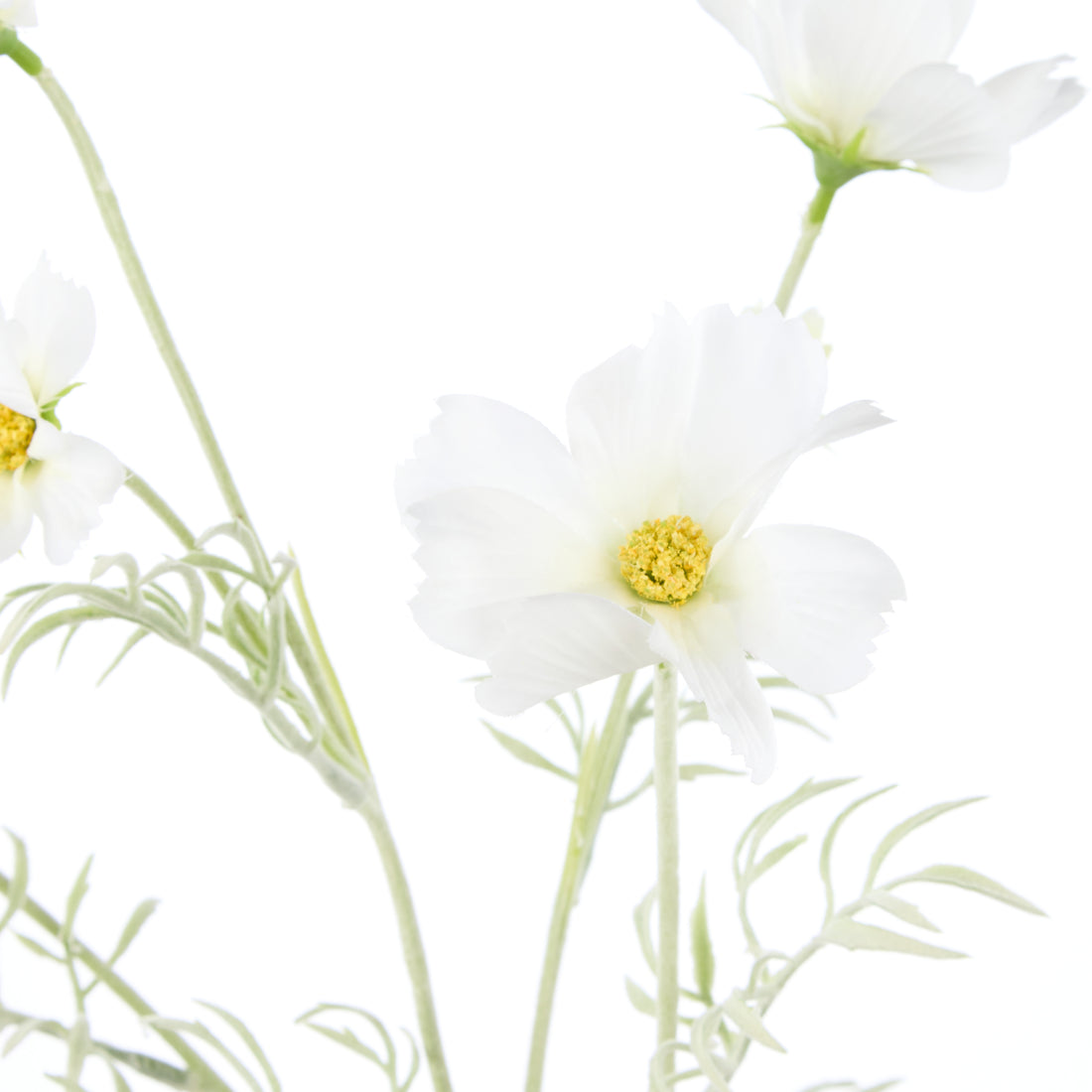 Faux Cosmos Flower Spray | White - 62cm