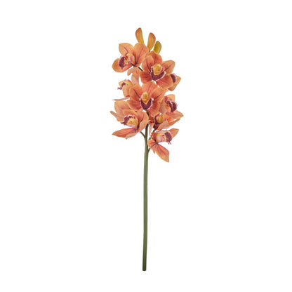 Rogue Cymbidium Spray Orange
