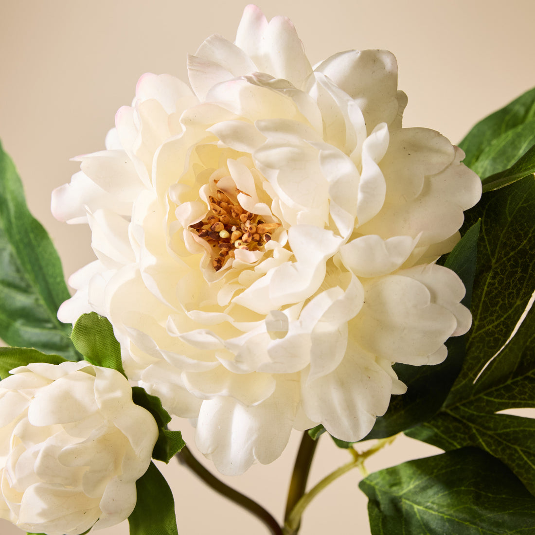 Faux Peony Bud Stem | Cream - 56cm