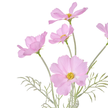 Rogue Cosmos in Milk Bottle Light Pink