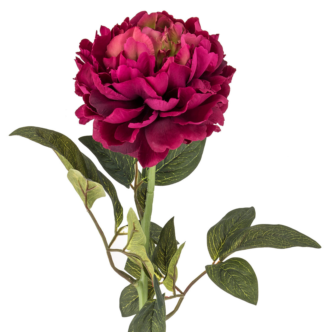 Faux Peony Stem | Burgundy - 73cm