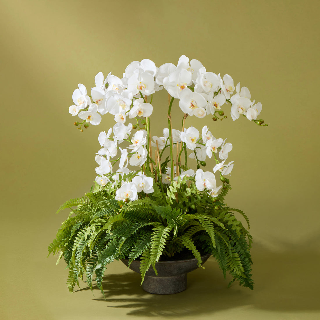 Faux Phalaenopsis Orchid and Ferns - Nimes Footed Bowl | 79cm