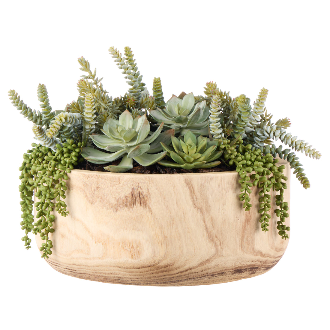 Rogue Succulent Garden - Dansk Bowl Green/Natural