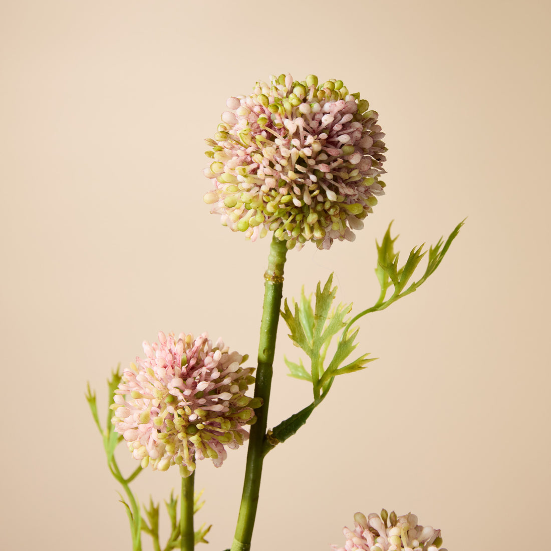 Faux Mini Allium Stem | Pink - 64cm