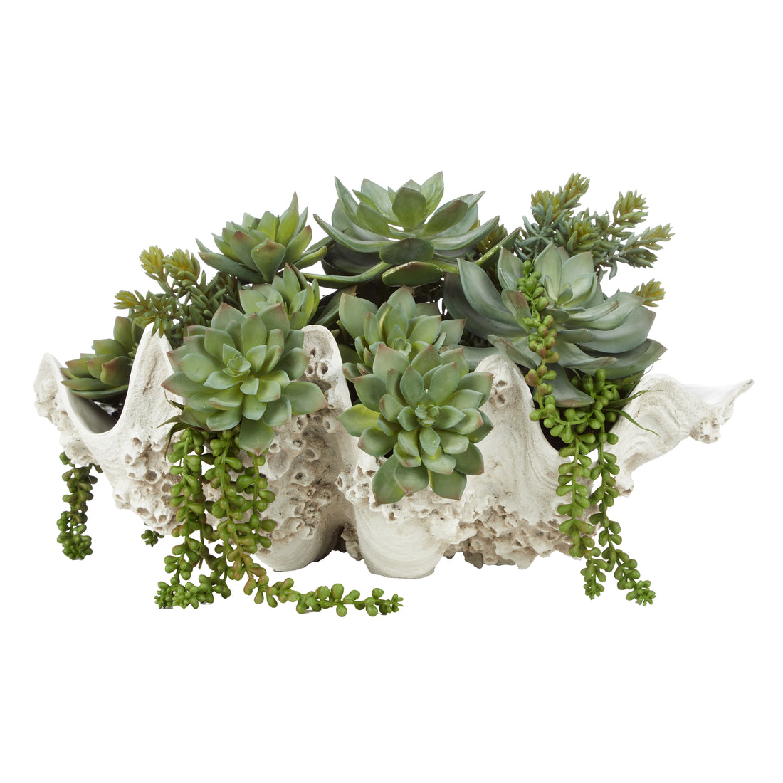 Faux Succulent Mix - Seychelles Clam Vessel | 52cm