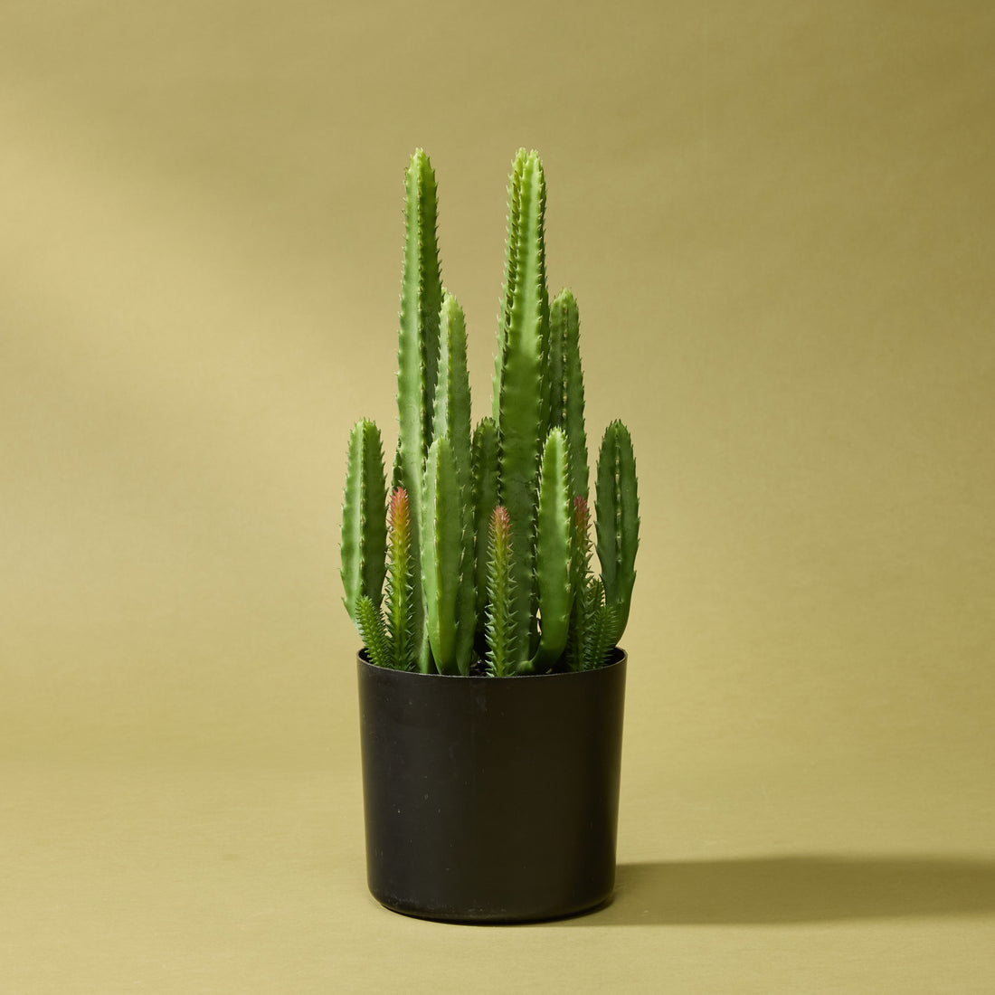 Faux Fairy Castle Cactus | 35cm