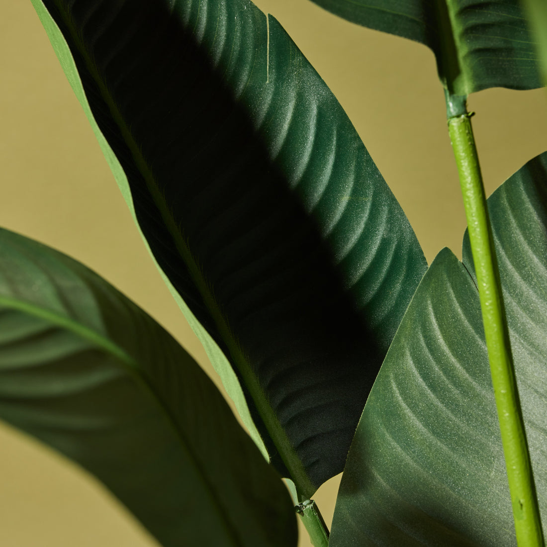 Faux Giant Bird of Paradise Plant | 183cm