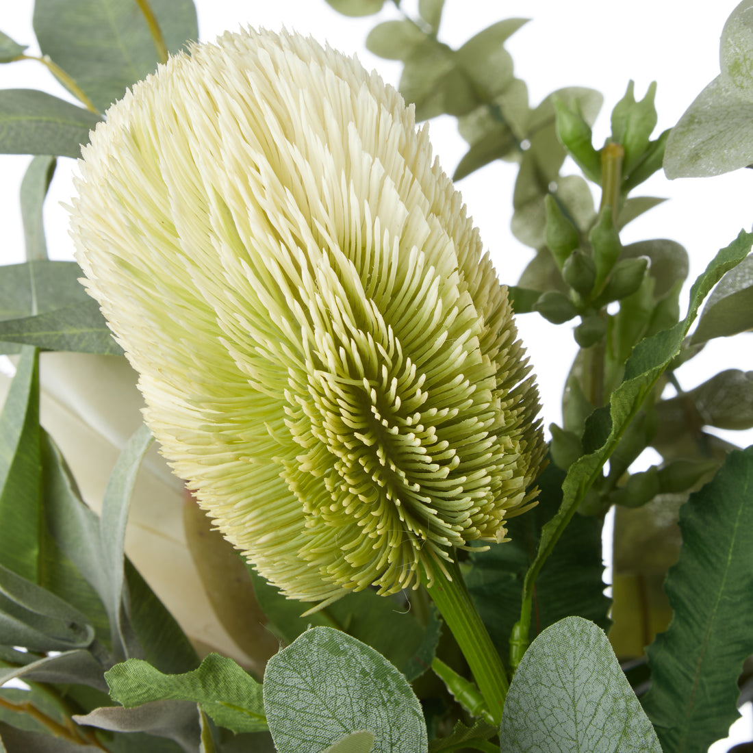 Faux Australis Protea Eucalyptus Mix - Maliah Pot | 79cm