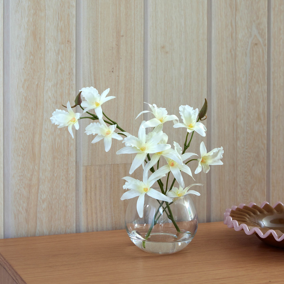 Rogue Dendrobium - Sphere White