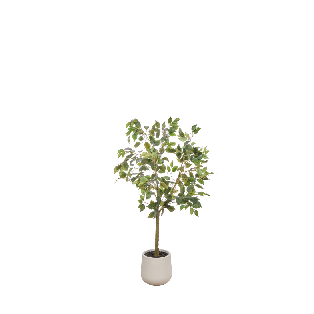 Faux Ficus Tree - White Pot | Green -  120cm