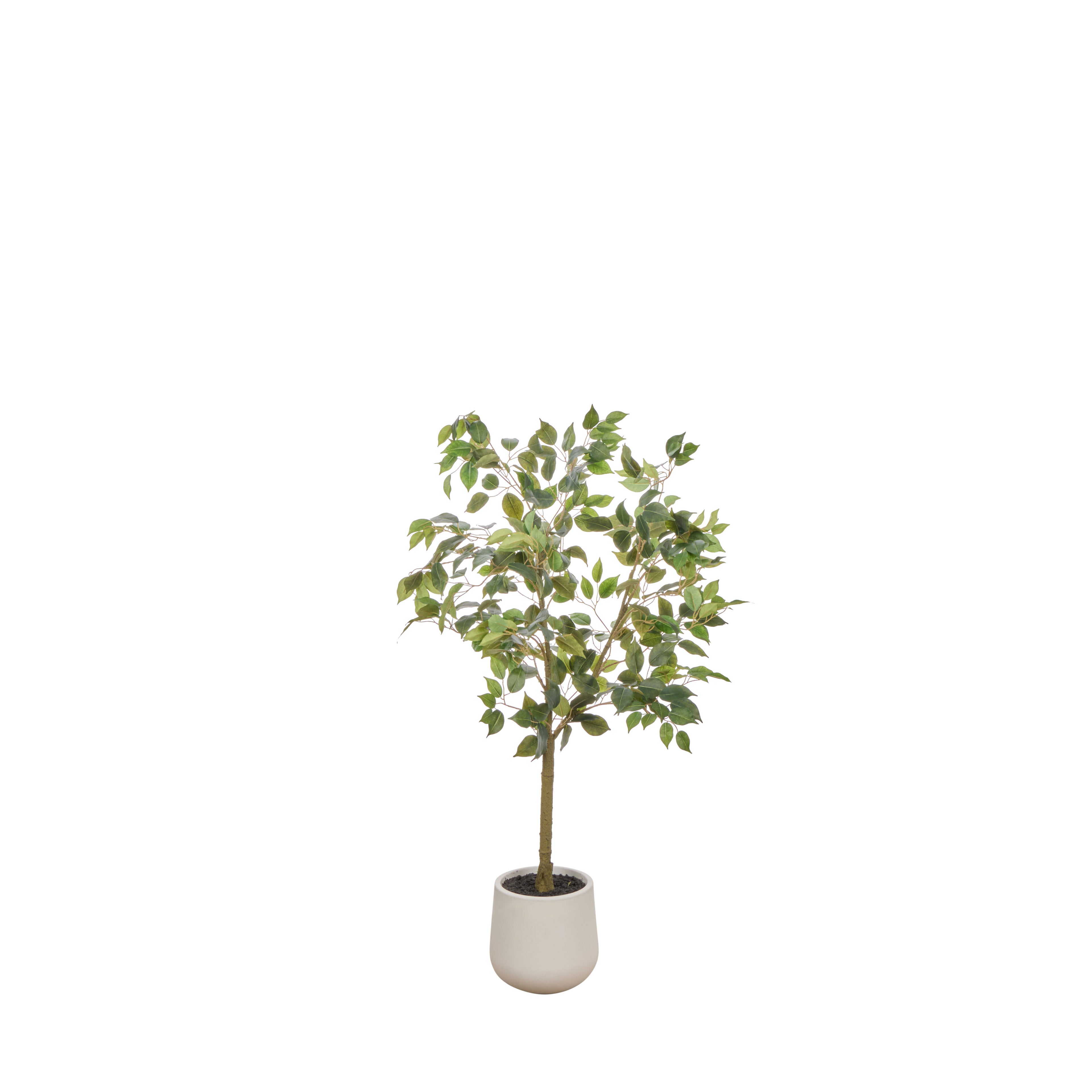 Faux Ficus Tree - White Pot | Green -  120cm