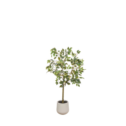 Faux Ficus Tree - White Pot | Green -  120cm