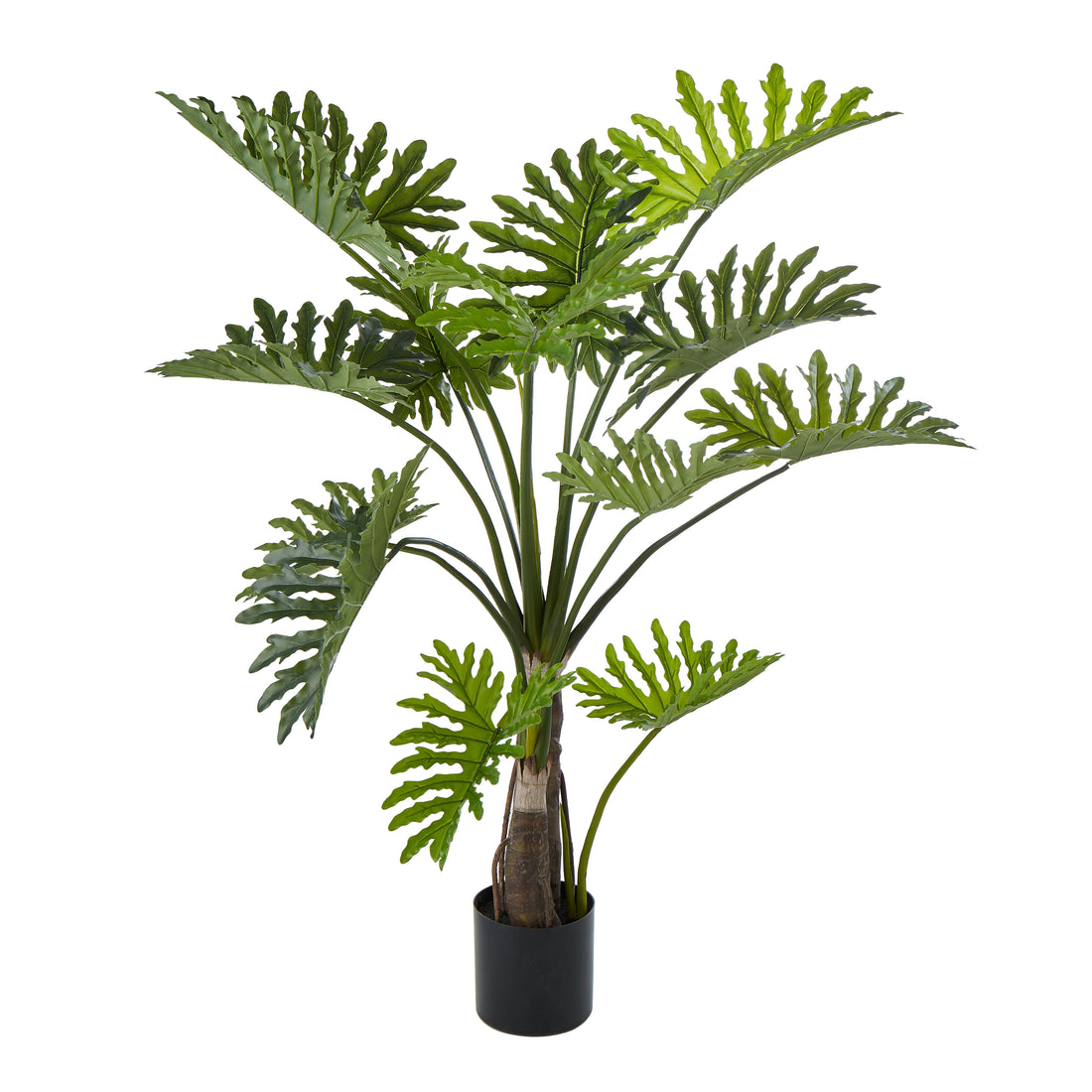 Rogue Lacy Philodendron Tree Green