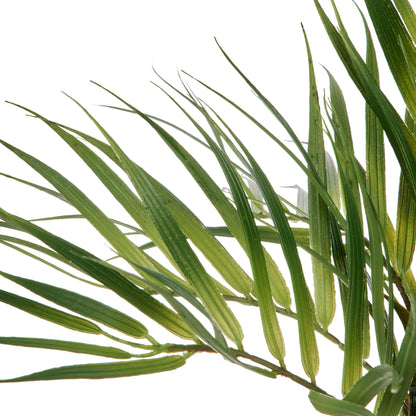 Rogue Phoenix Palm Green