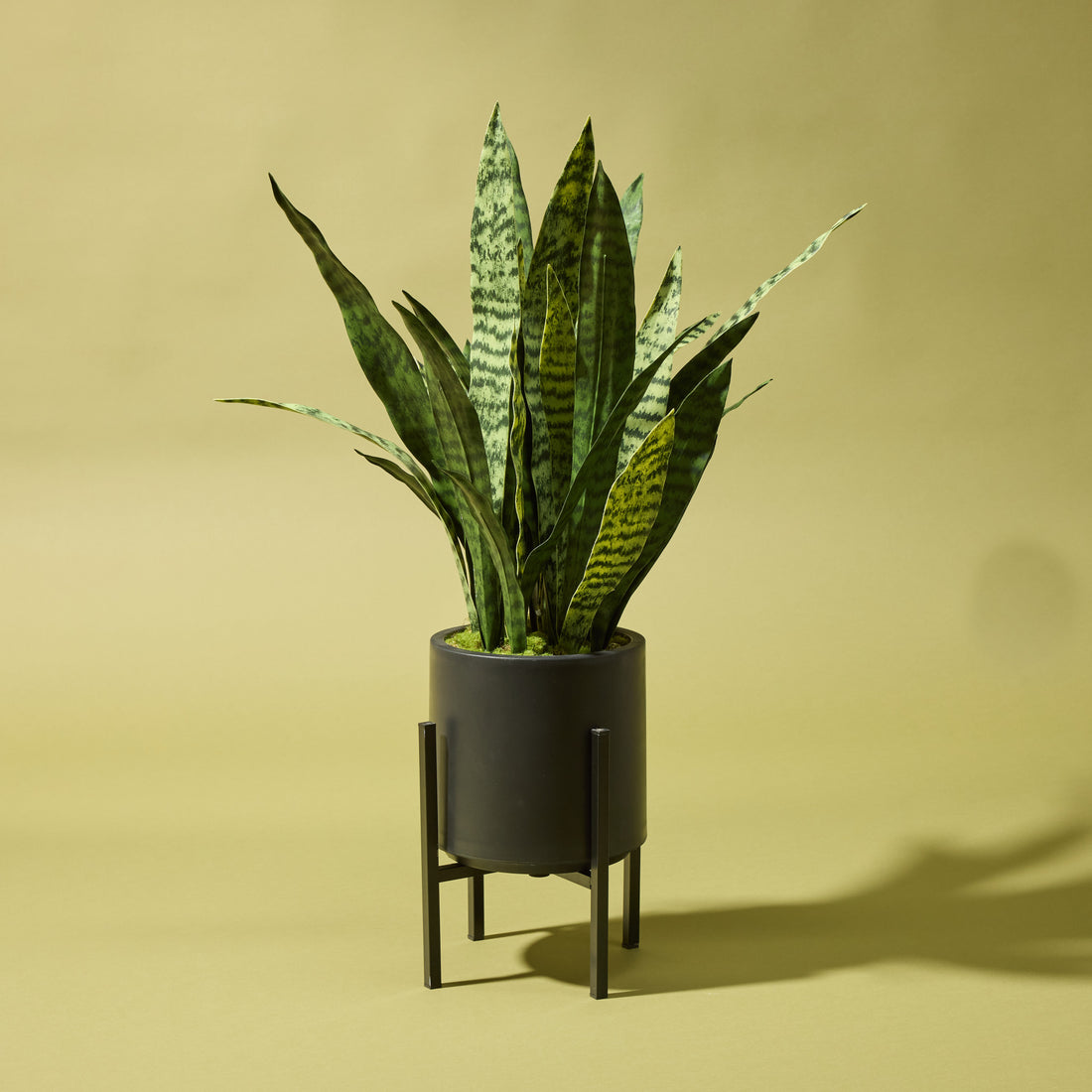 Faux Sanseveria - Standing Planter | 85cm