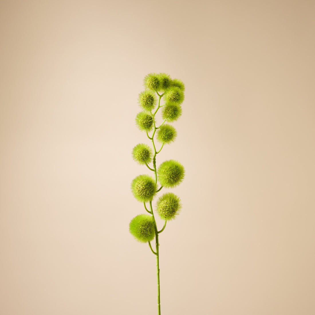 Faux Mini Milk Weed Stem | Green - 80cm