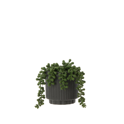 Rogue String of Pearls Pot Green &amp;  Black