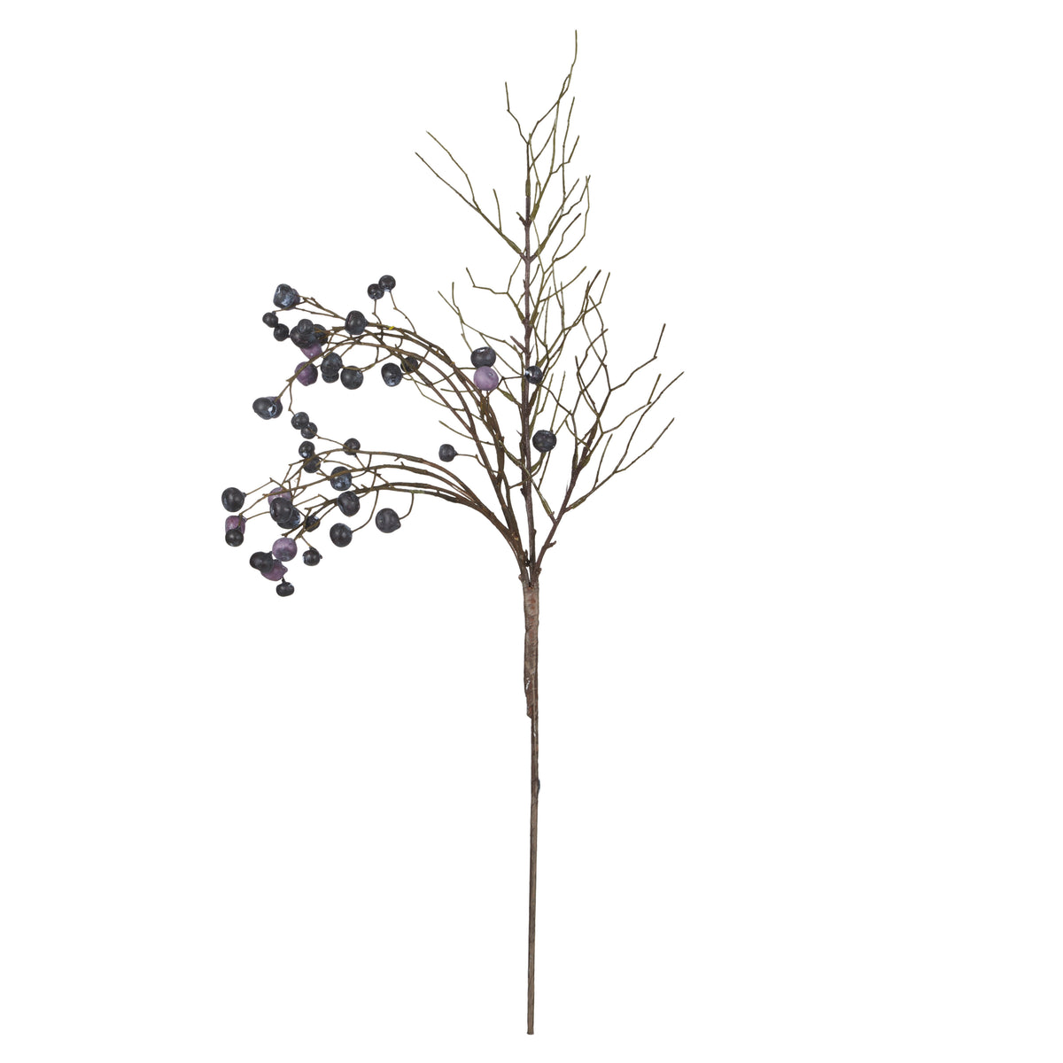 Rogue Wild Berry Spray Blue