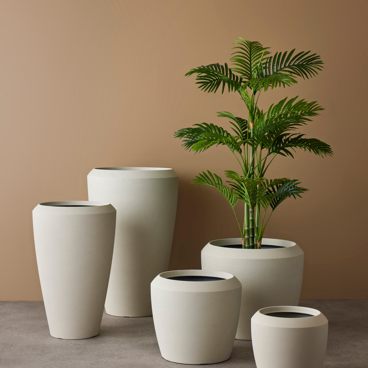 Rogue Areca Palm Tree - Garden Pot Green