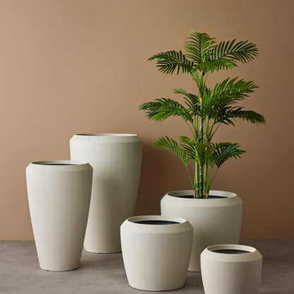 Rogue Areca Palm Tree - Garden Pot Green