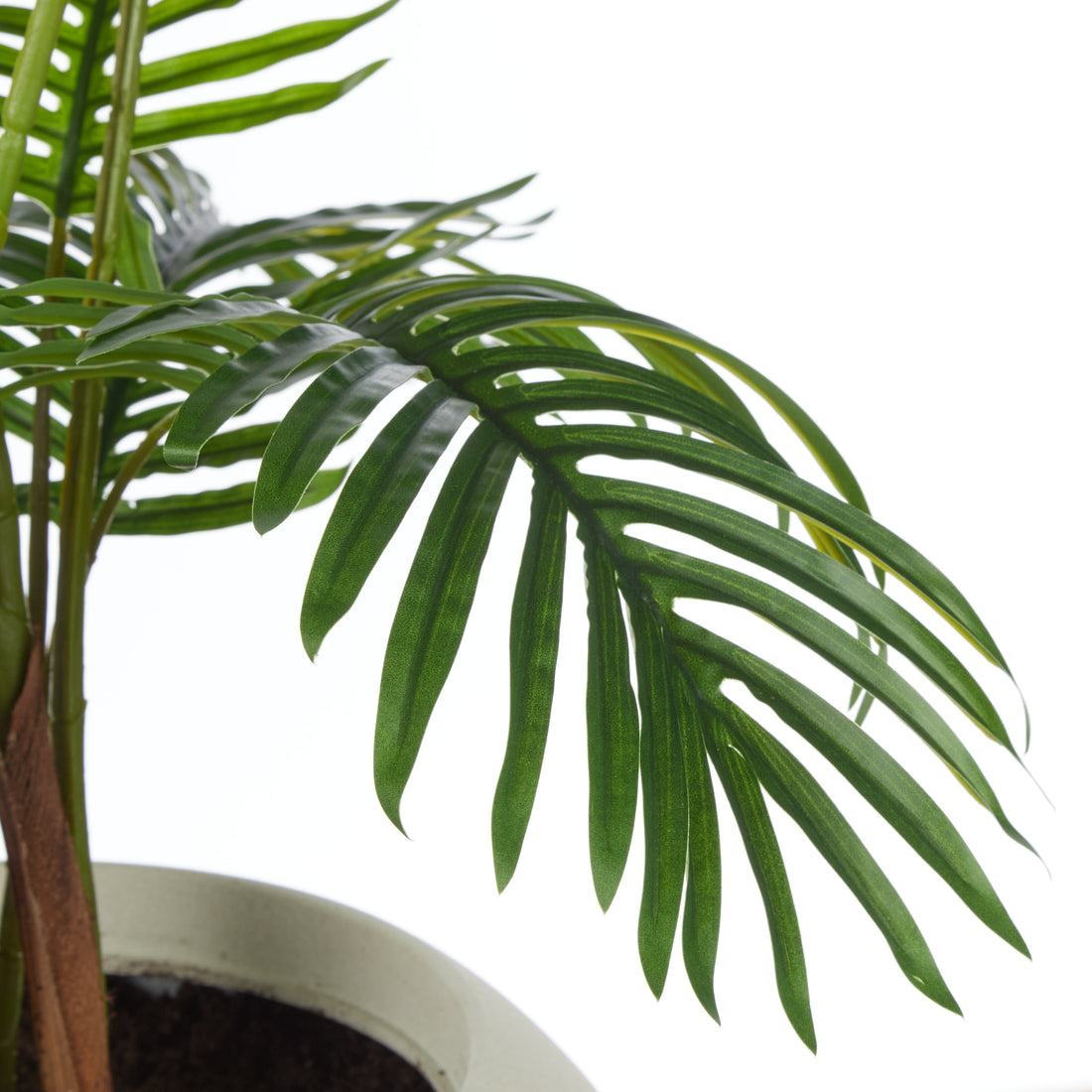 Rogue Areca Palm Tree - Vienna Planter Green