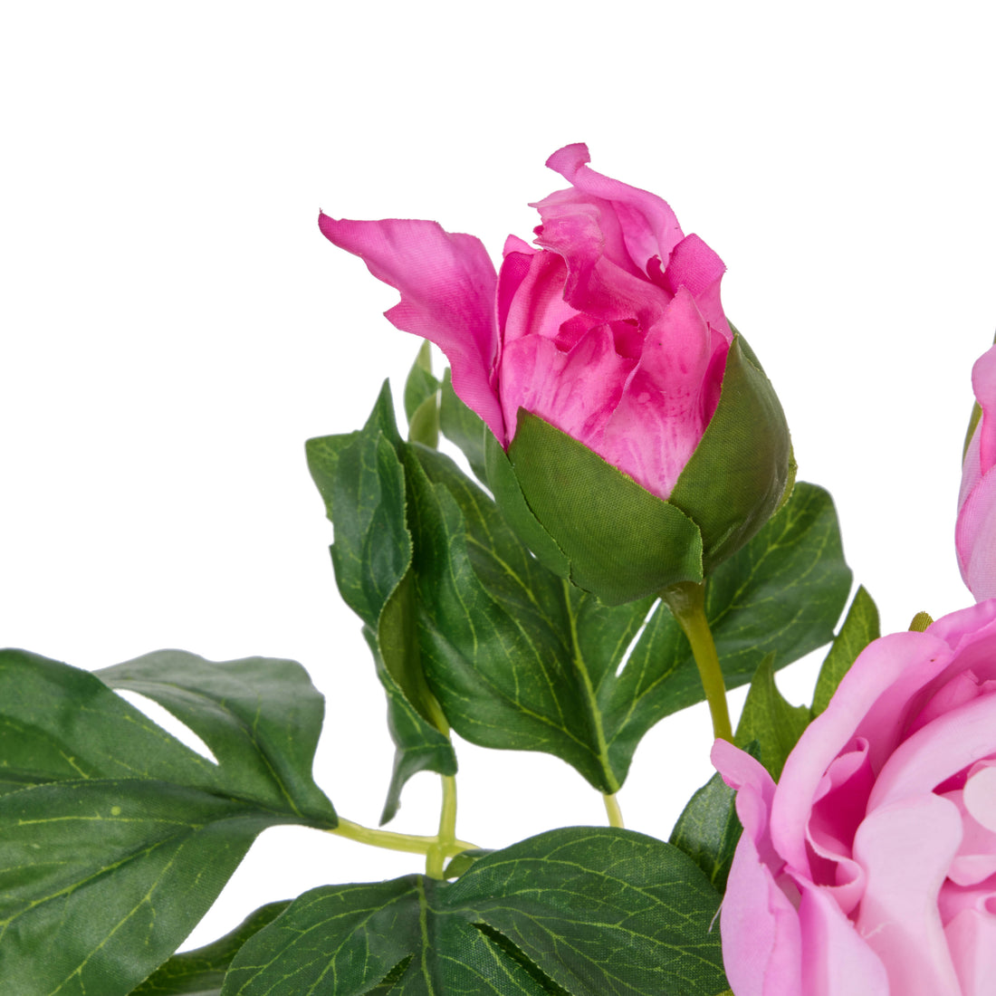 Rogue Pitaya Eucalyptus Wreath Pink