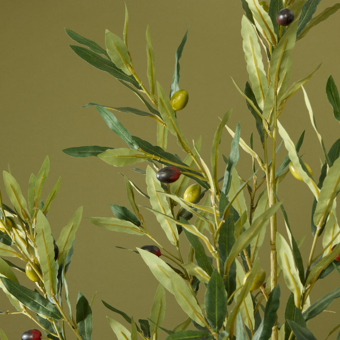 Faux Olive Tree - Inga Vase | Green - 166cm