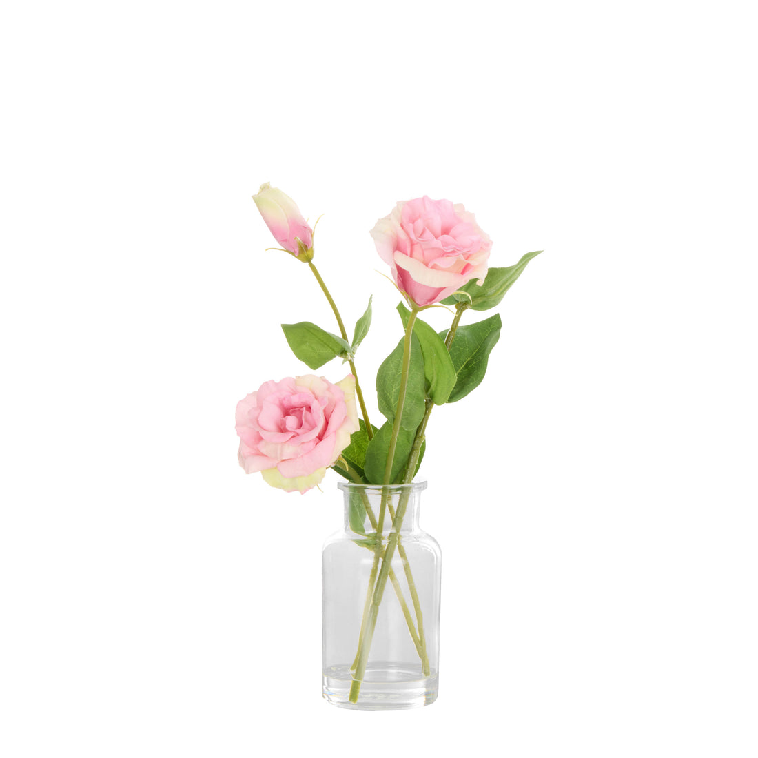 Rogue Lisanthus - Specimen Glass Vase Pink