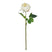 Faux Austin Rose Stem | Champagne - 45cm