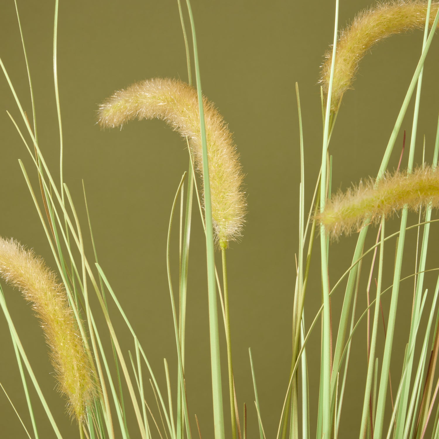 Faux Grass Plant - Trillium Planter | 170cm