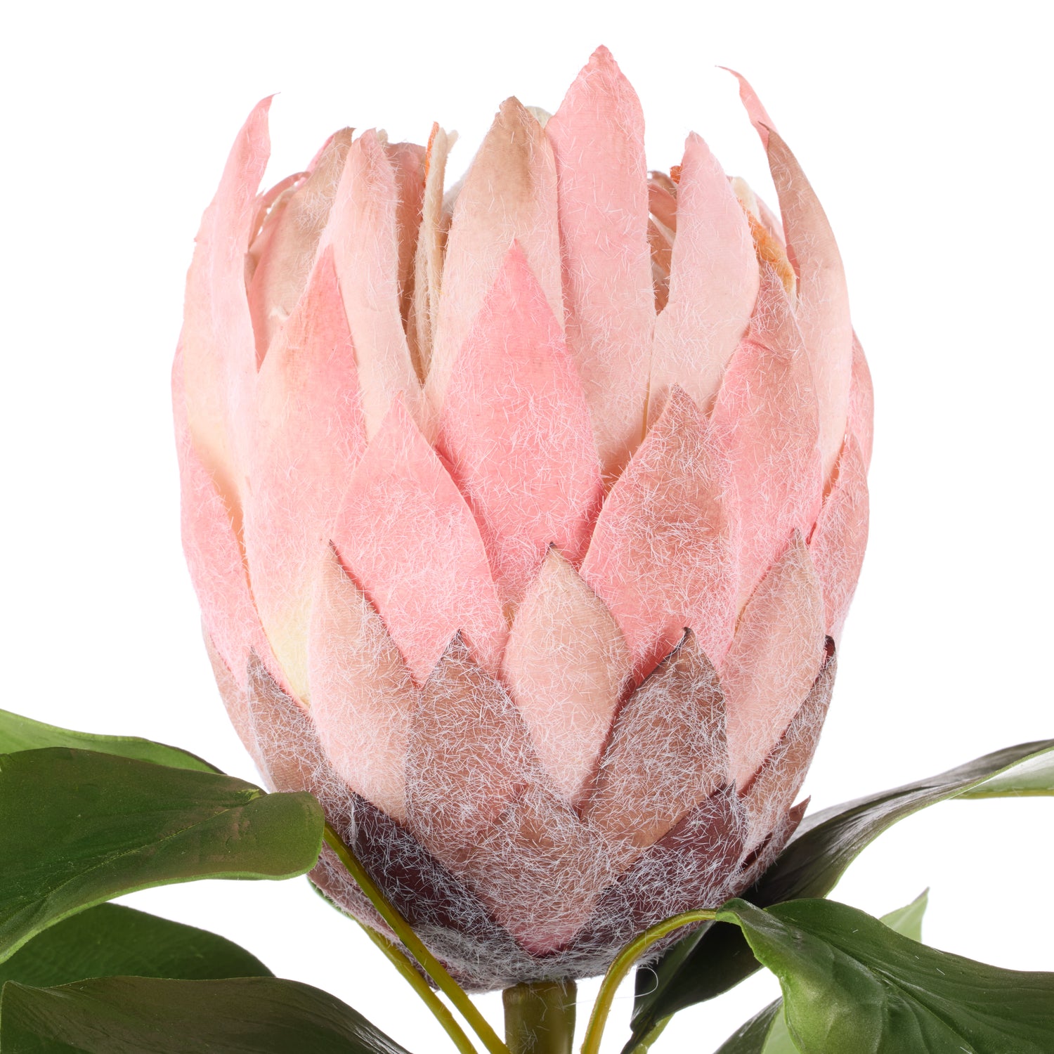 Faux Grand Protea Stem | Pink -  63cm